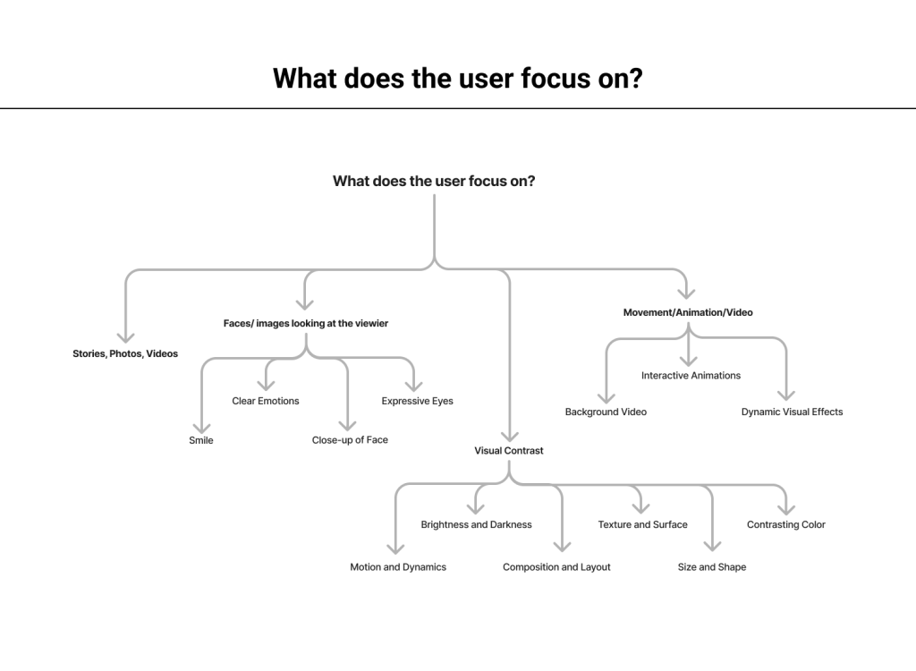 User focus analysis showing browsing patterns and attention areas